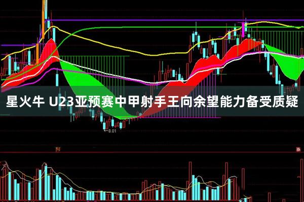星火牛 U23亚预赛中甲射手王向余望能力备受质疑