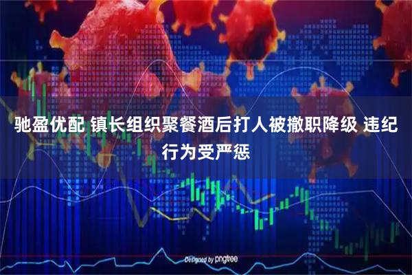 驰盈优配 镇长组织聚餐酒后打人被撤职降级 违纪行为受严惩