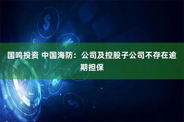 国鸣投资 中国海防：公司及控股子公司不存在逾期担保