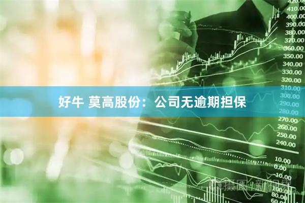 好牛 莫高股份：公司无逾期担保
