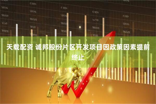 天载配资 诚邦股份片区开发项目因政策因素提前终止