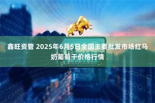 鑫旺资管 2025年6月5日全国主要批发市场红马奶葡萄干价格行情