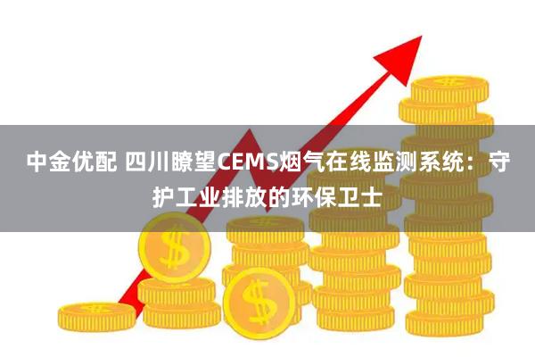 中金优配 四川瞭望CEMS烟气在线监测系统：守护工业排放的环保卫士