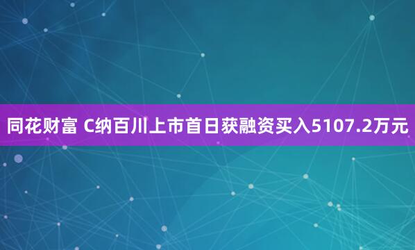 同花财富 C纳百川上市首日获融资买入5107.2万元