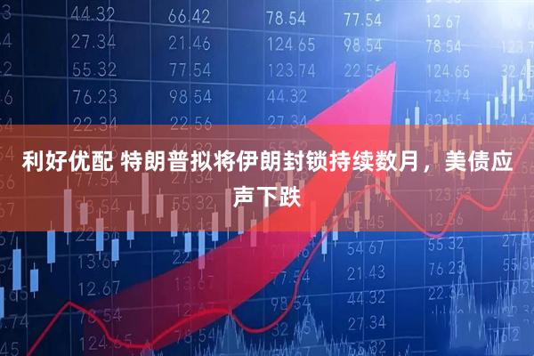 利好优配 特朗普拟将伊朗封锁持续数月，美债应声下跌